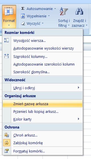 Zmiananazwyarkuszaexcel3.jpg