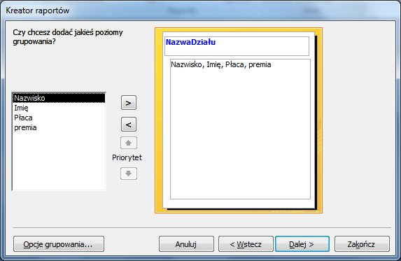 Raportyaccess6.jpg