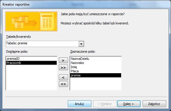 Raportyaccess4.jpg