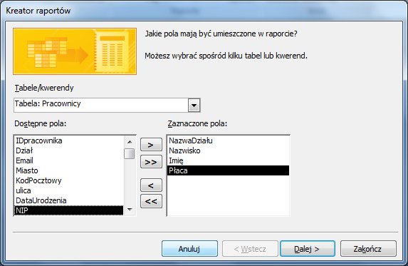 Raportyaccess3.jpg