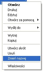 Zmiananazwyplikuwwindows.jpg