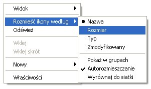 Sortowanieplikowwindowsxp.jpg
