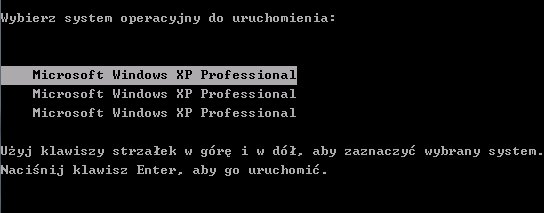 Bootini.jpg