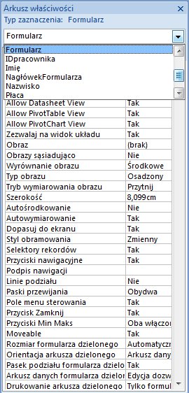 Formularzeaccess19.jpg