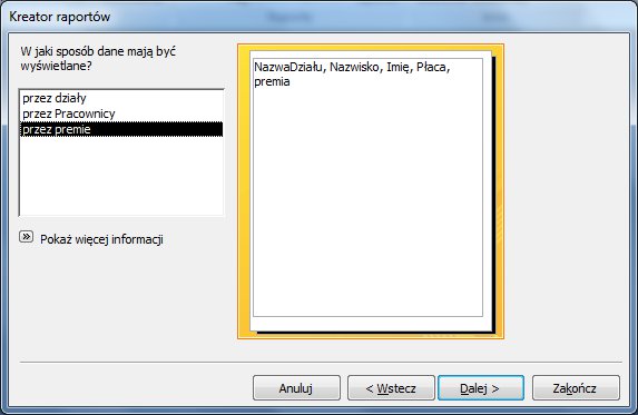 Raportyaccess5.jpg