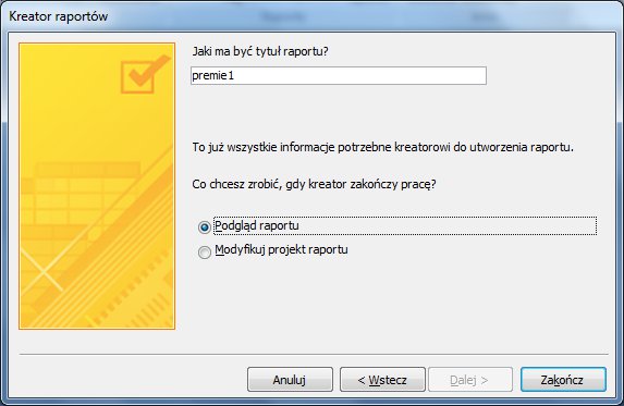 Raportyaccess10.jpg