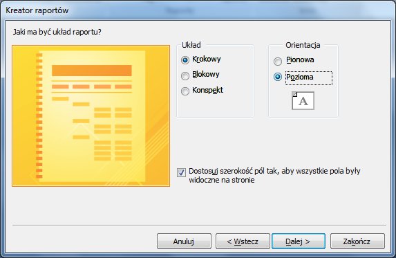 Raportyaccess8.jpg