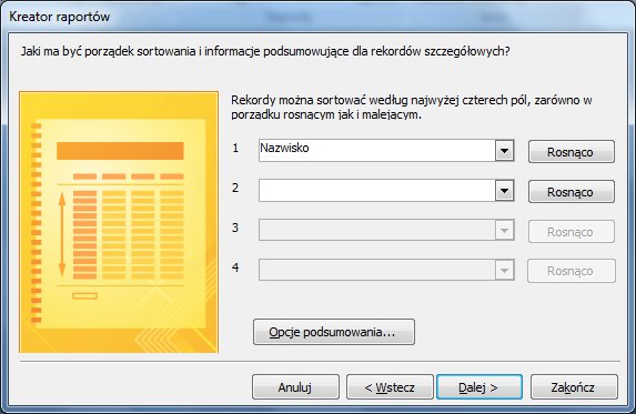 Raportyaccess7.jpg