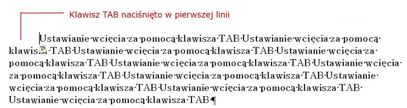 Plik:Wcieciaakapituword2007-6.jpg