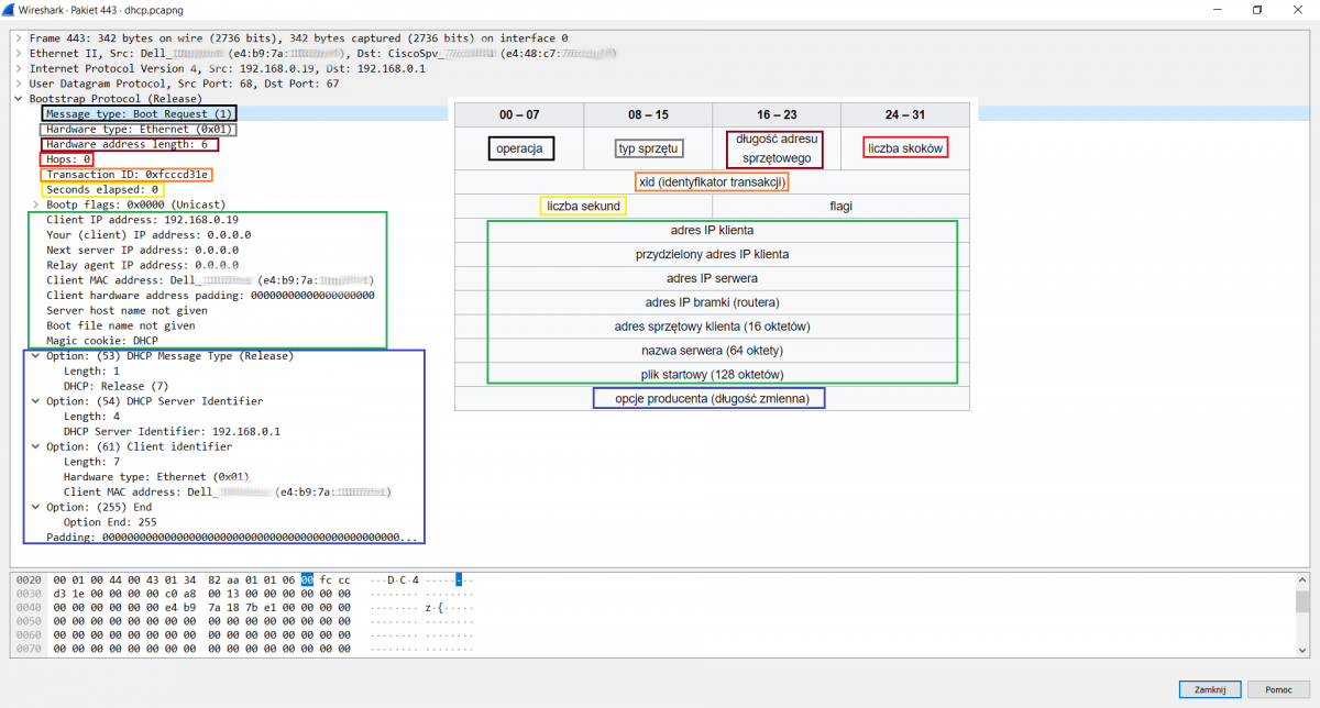 Wirehark-dhcp2.png