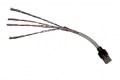 Miniatura wersji z 19:49, 15 wrz 2010
