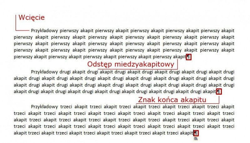 Akapityword2007.jpg